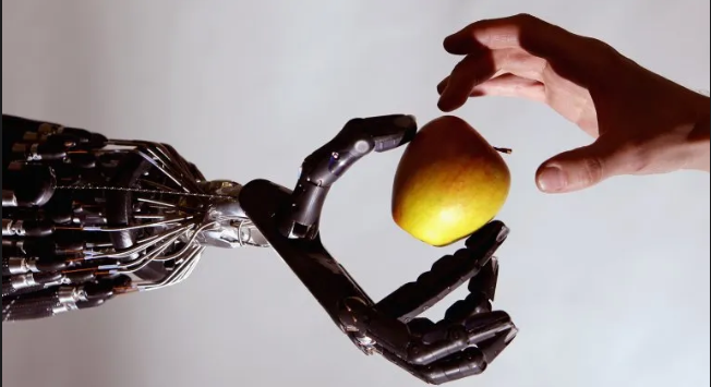 human hand and robotic hand